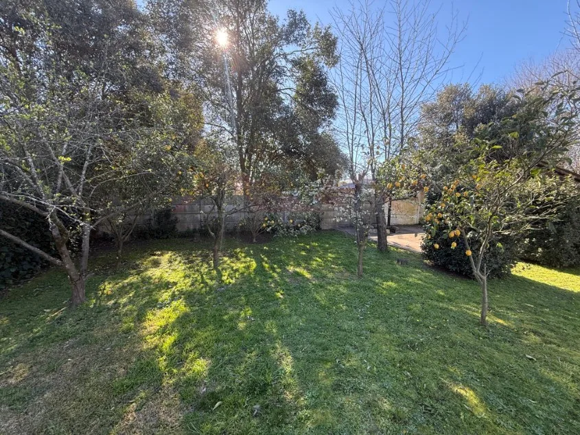 Casa 2 dorm. Con amplio patio y pileta. - Calle 127 e/ 56 y 58, Barrio Parque.