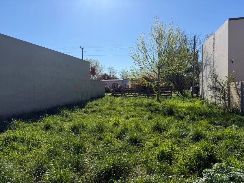 Lote de 12 x 29,57 m - Calle Las Tropas e/ 30 y 32.