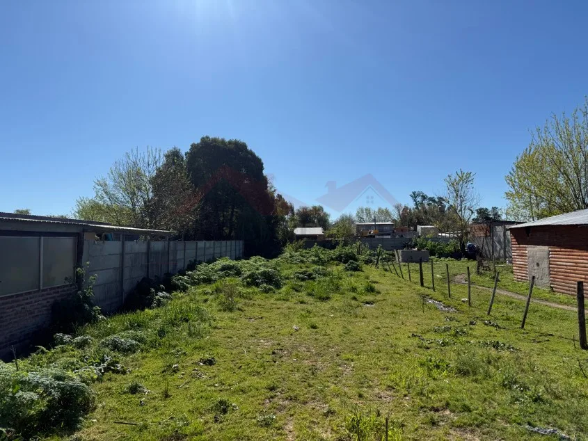 Lote de 10 x 50 m - Calle 103 e/ 58 y 60, Barrio José María.