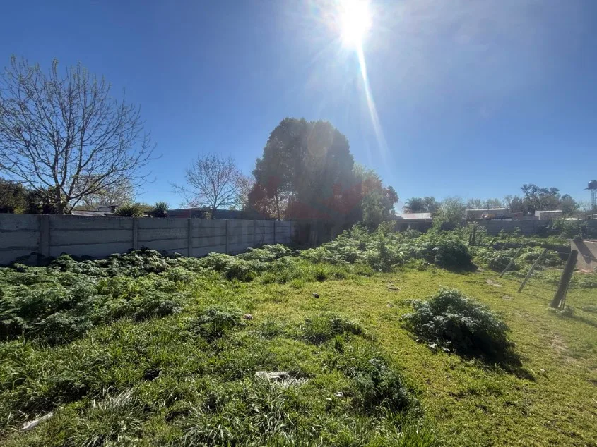 Lote de 10 x 50 m - Calle 103 e/ 58 y 60, Barrio José María.