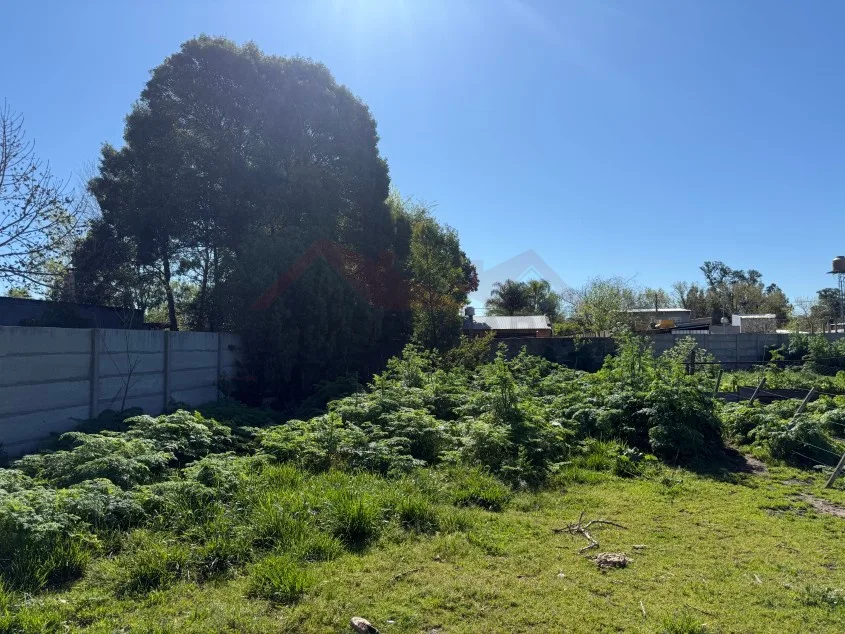 Lote de 10 x 50 m - Calle 103 e/ 58 y 60, Barrio José María.