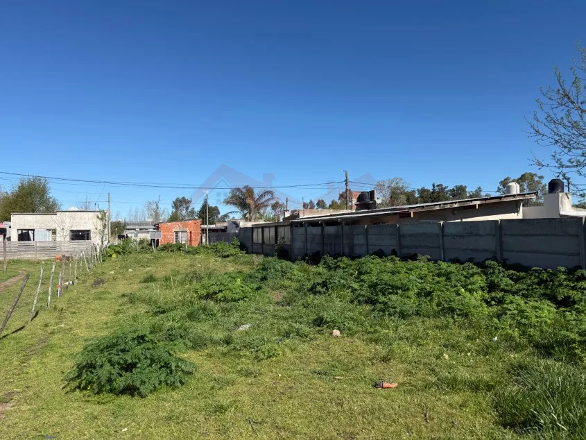 Lote de 10 x 50 m - Calle 103 e/ 58 y 60, Barrio José María.