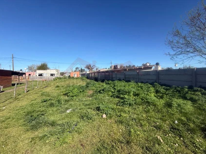 Lote de 10 x 50 m - Calle 103 e/ 58 y 60, Barrio José María.