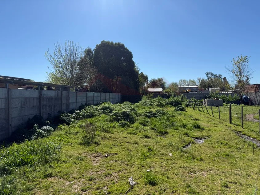 Lote de 10 x 50 m - Calle 103 e/ 58 y 60, Barrio José María.