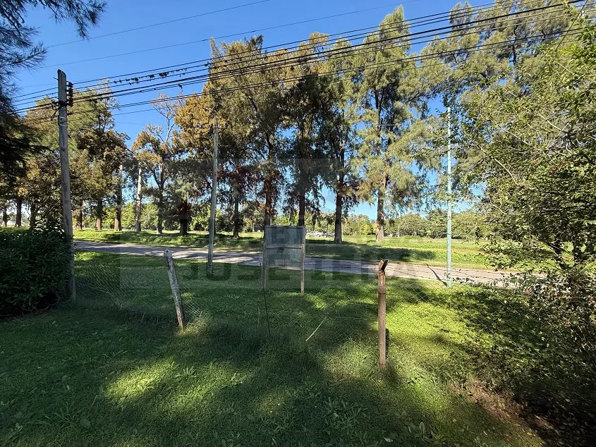 Lote de 10 x 22,5 m - Calle 137 e/ 54 y 56.