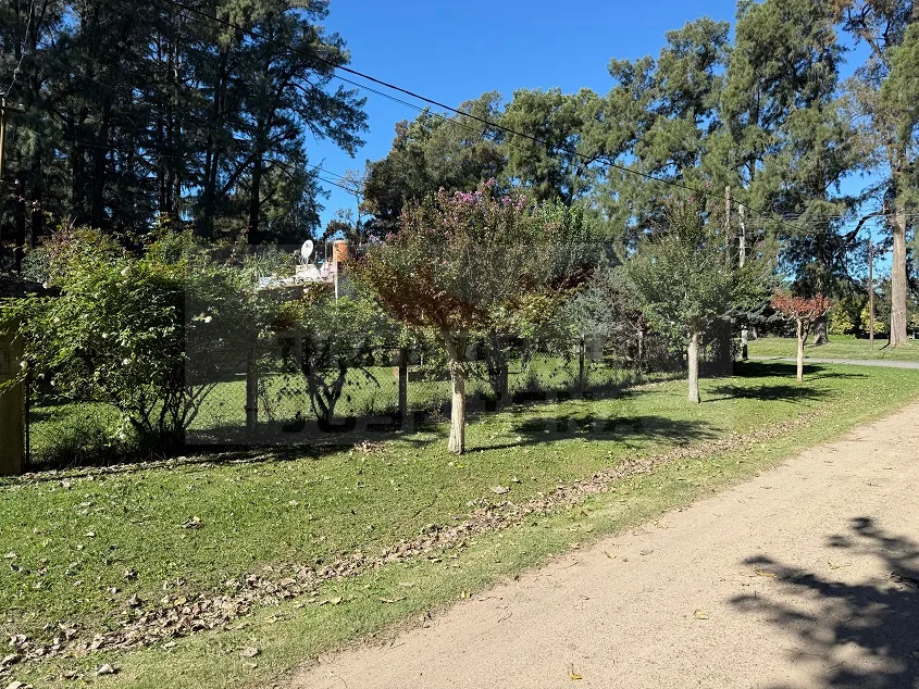 Lote de 10 x 22,5 m en esquina - Calle 137 y 54.